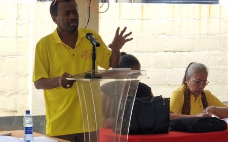 C-47-voorzitter Berenstein pleit voor vertegenwoordiging van vakbeweging in rvc staatsbedrijv