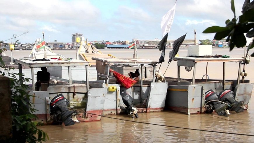 Geen geldige visvergunning na 1 maart: LVV trekt harde lijn voor visserssector