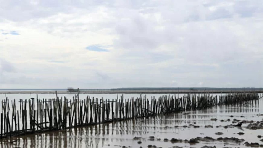 Klimaatrampen troffen afgelopen jaar miljoenen mensen en kostten miljarden dollars