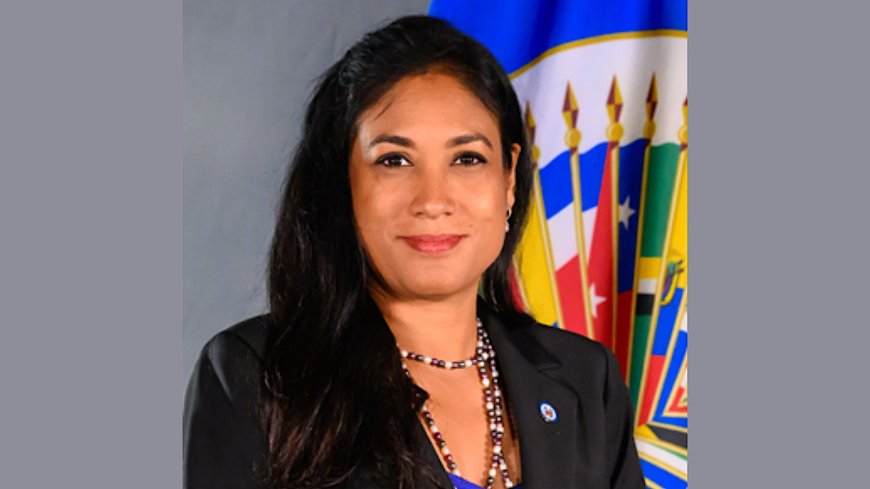 Opmerkingen bij intrekking diplomatiek paspoort Xaviera Jessurun