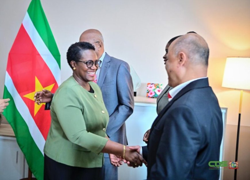 Nieuwe leden aangesteld voor Deviezencommissie