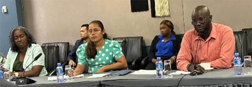 Parlementaire commissie volgt Caricom-standpunt over Venezuela