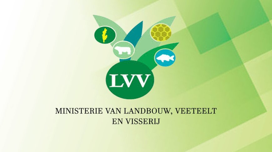 Suriname behoudt toegang tot VS-markt voor visexport