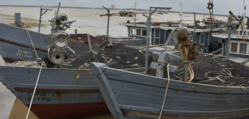 Alleen vis van SK-drijfnetvisserij en Venezolaanse vaartuigen voorlopig uitgesloten van expor