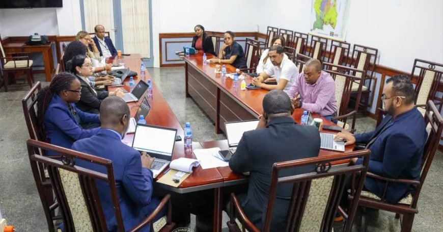 Vaste DNA-commissie  SoZaVo wil dat er meer middelen worden vrijgemaakt voor mentale gezondhe