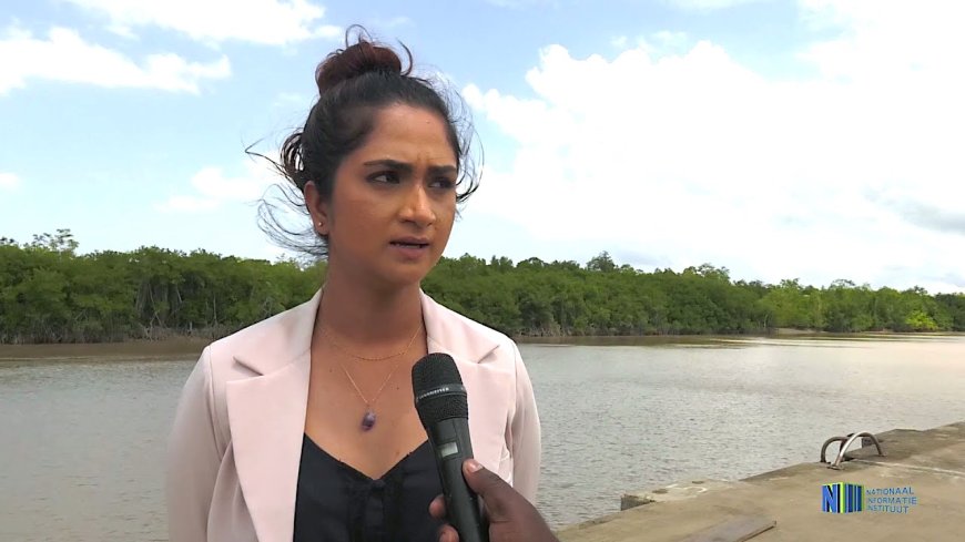 De beloning van vernieling: hoe Hanisha Jairam de dans ontspringt