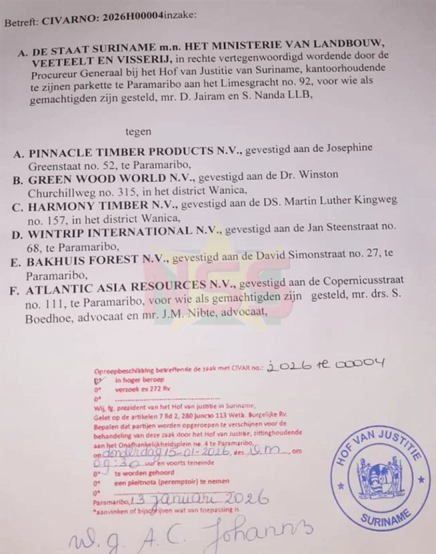 Dossier houtexport 10: Hoger beroep donderdag bij Hof van Justitie