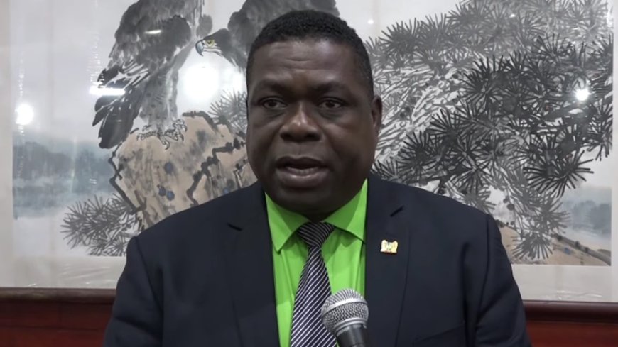 Regering biedt geen politieke bescherming aan Rozenhout