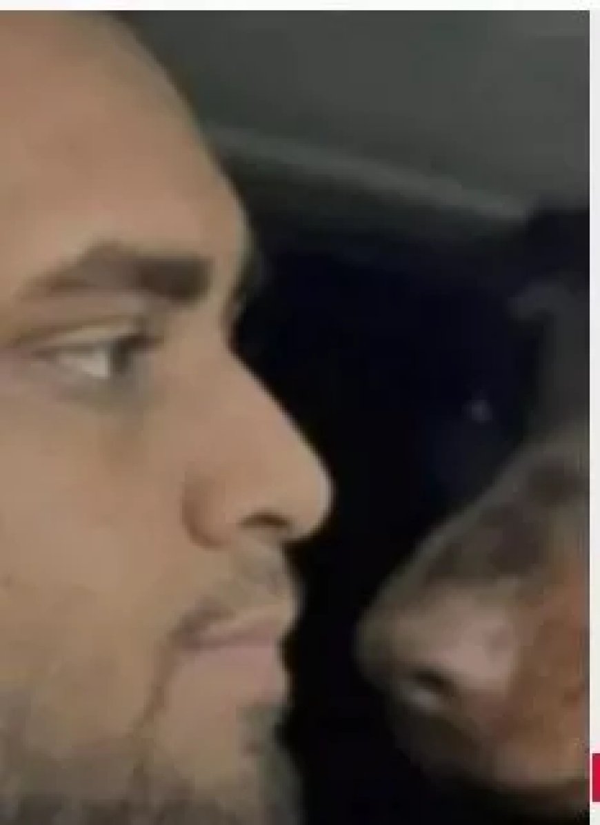 Schuld bekend na vondst 37 dode honden in Essex