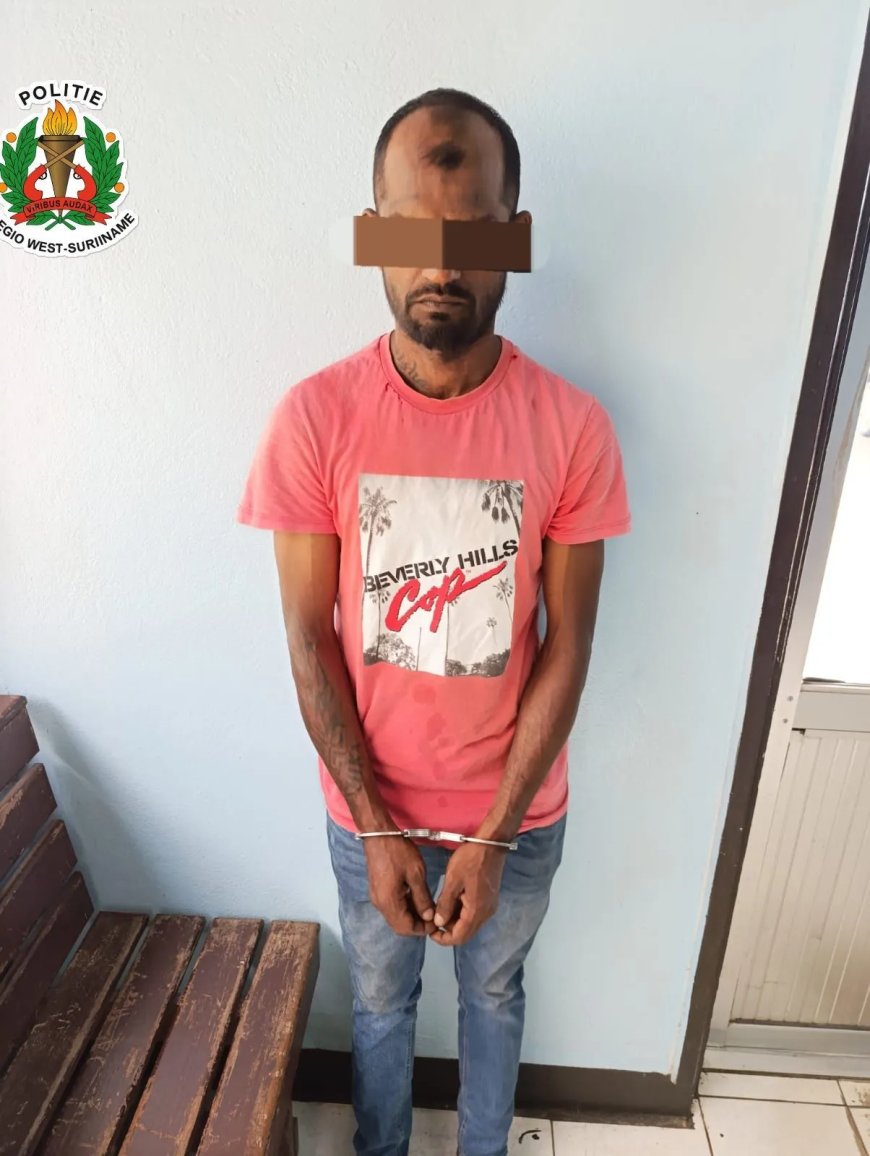 ‘Tingi’ drie weken na vernieling, bedreiging en mishandeling  aangehouden