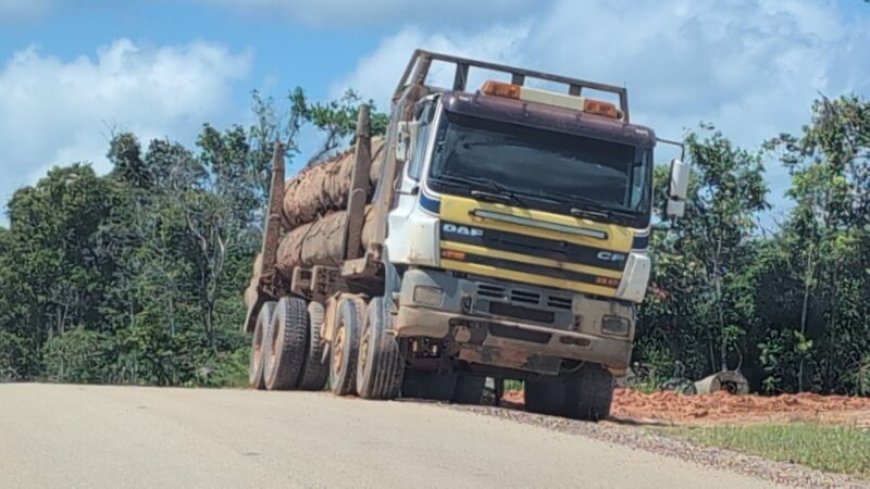 VES-voorzitter Debipersad: Economische kansen benutten, fouten niet herhalenn’