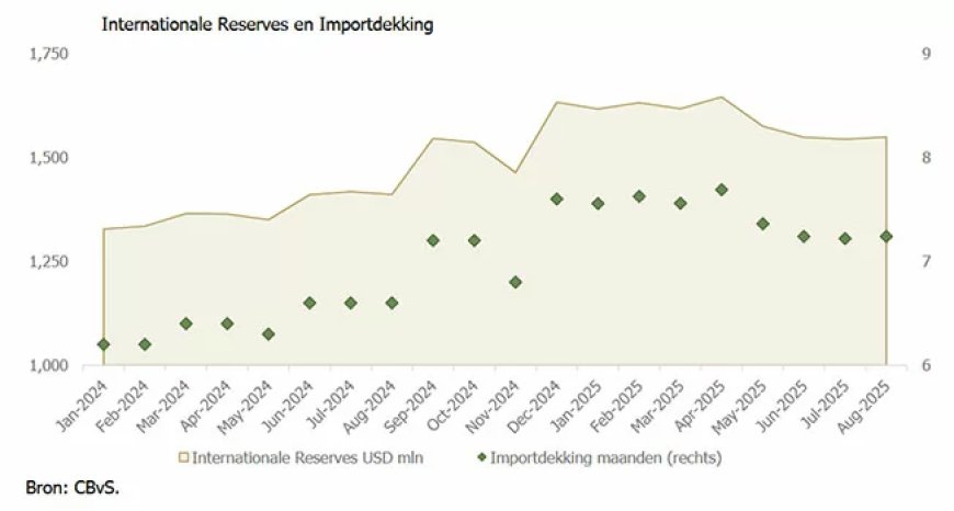 SEOB waarschuwt: economische stabiliteit kwetsbaar ondanks sterke reserves