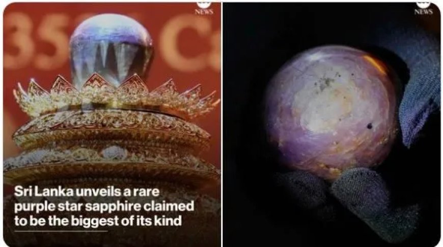 Grootste paarse ster­saffier ter wereld onthuld in Sri Lanka