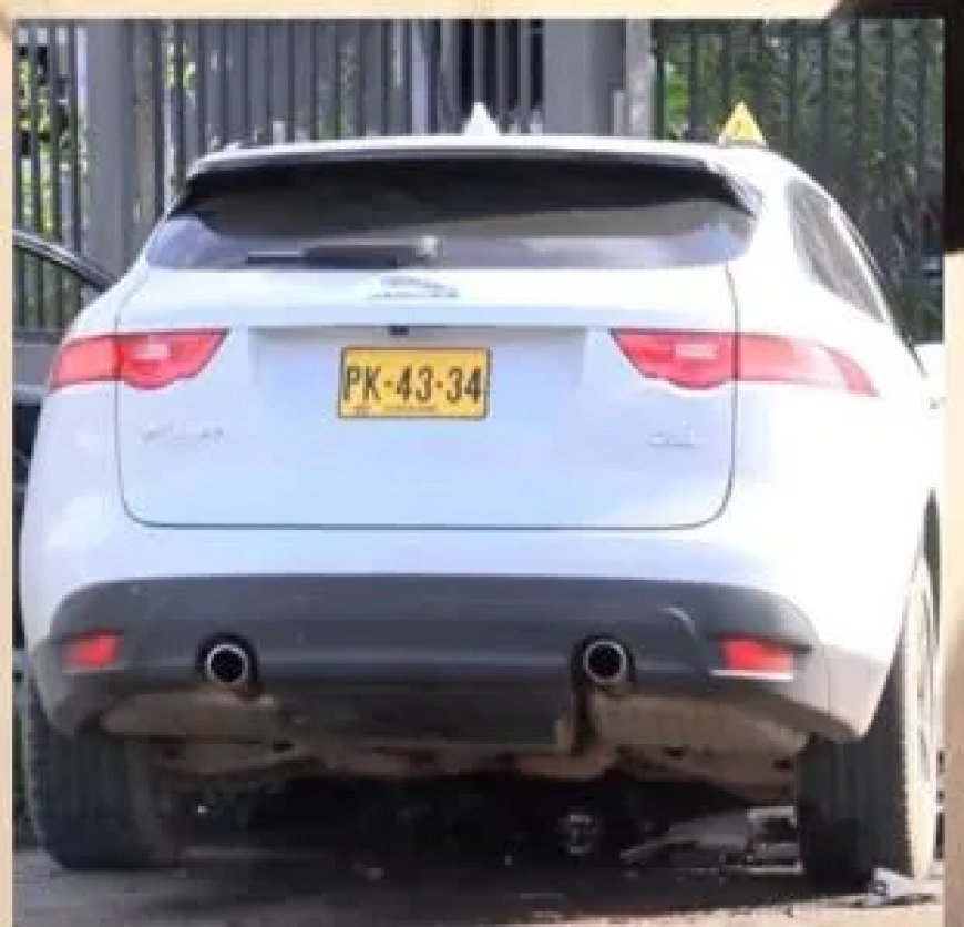 Remfalen als verweer dodelijk aanrijding