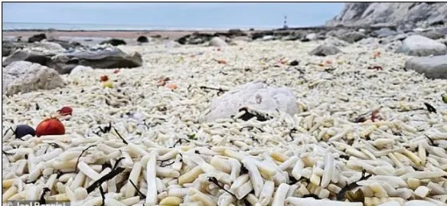 Miljoenen ongekookte frieten stranden op Britse kust