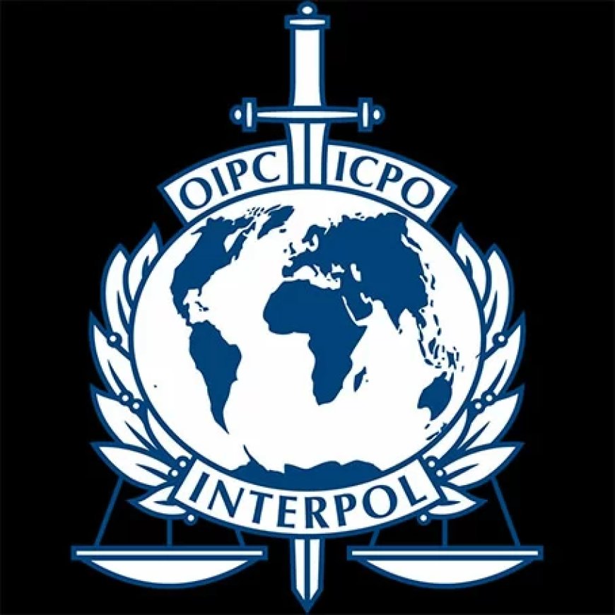 Interpol treft illegale goudsector in Guyanaschild