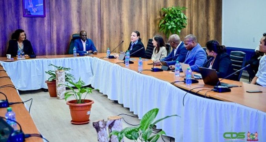 IDB overlegt met actoren over toekomst Surinaamse energiesector