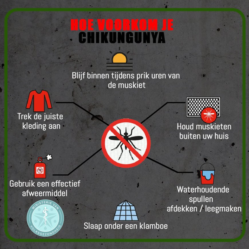 Volksgezondheid bevestigt chikungunya-uitbraak in Suriname