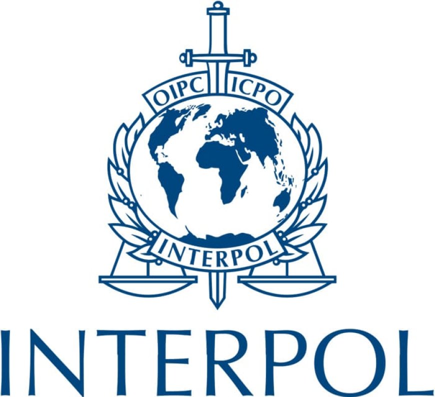 Interpol: 200 arrestaties in Suriname en buurlanden bij illegale goudwinning