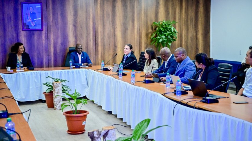 IDB overlegt met energieactoren over toekomstvisie energiesector