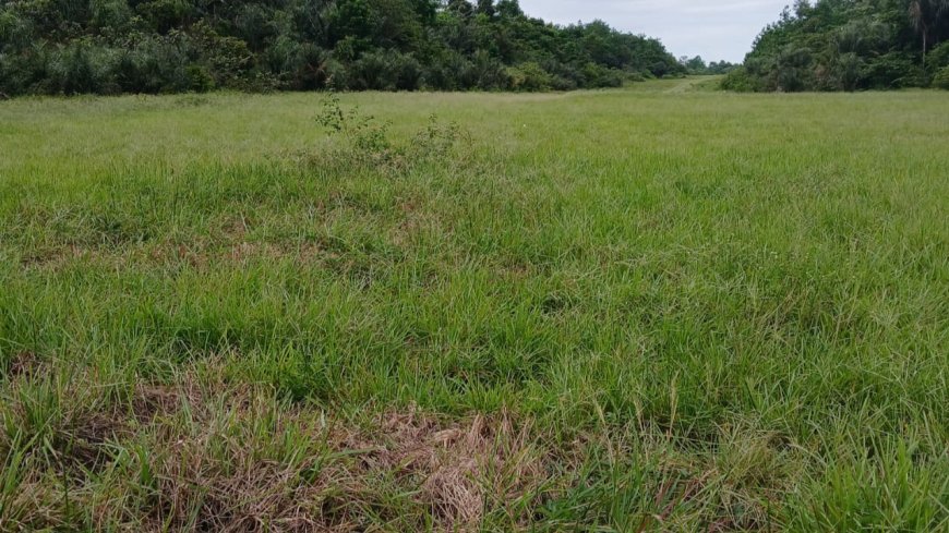 Vliegvelden in het binnenland al maanden niet onderhouden door brandstoftekort