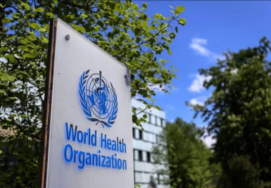 VS verbreekt banden met WHO, zorgen over griepepidemieën