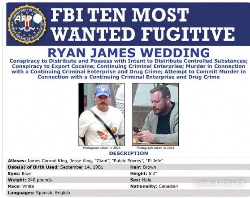 Ex-Canadese olympiër en vermeend drugsbaas Ryan Wedding gearresteerd