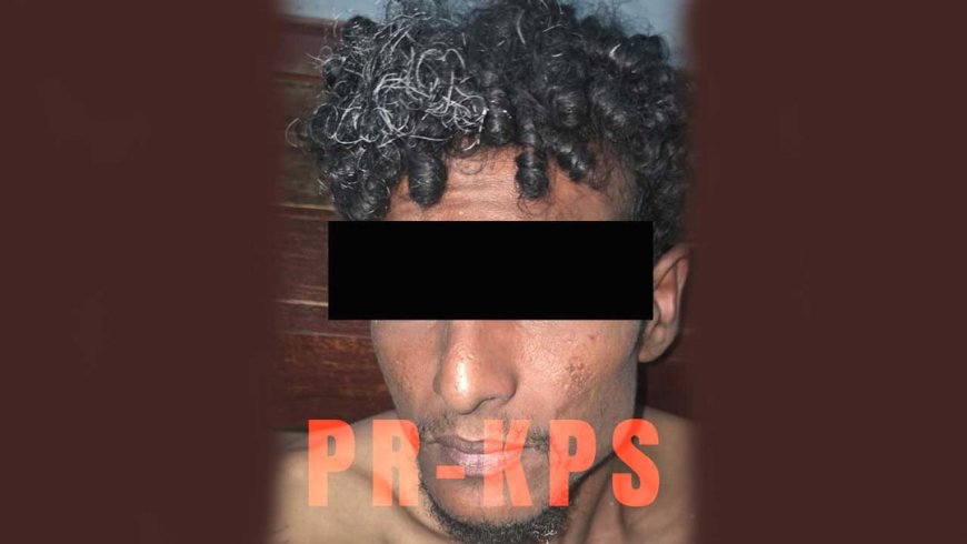 Diefstalverdachte in verzekering gesteld