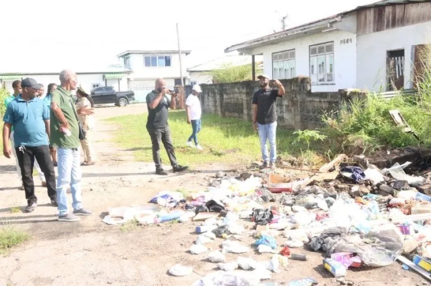 OGA start grofvuilophaal om chikungunya tegen te gaan
