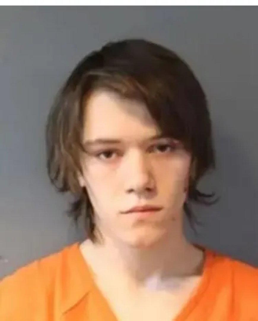 Dodelijke ruzie tussen broers na conflict over videogame