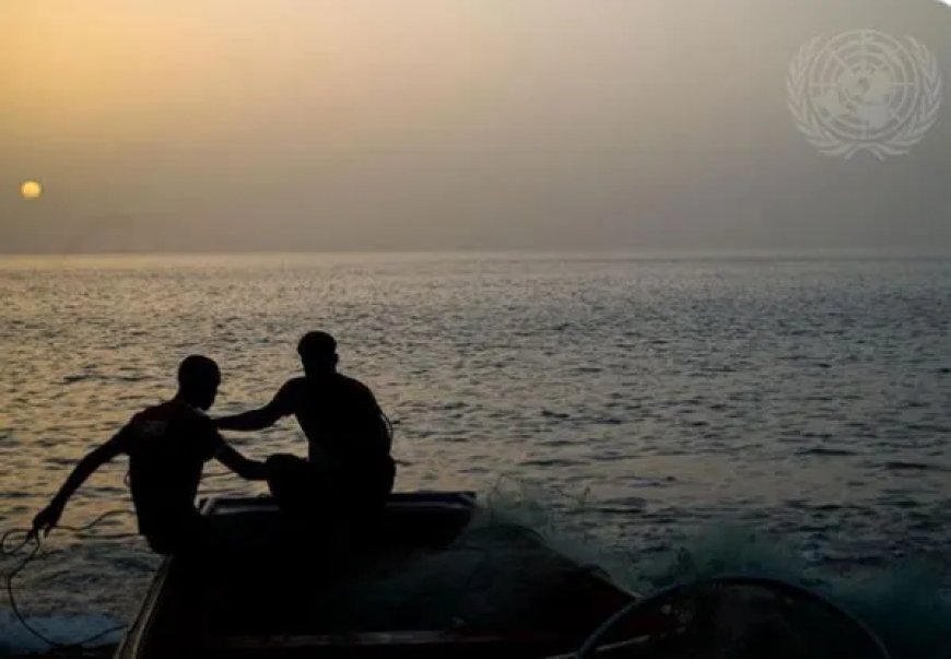 Wereldzeeën bereiken recordtemperaturen in 2025 met grote economische en sociale gevolgen