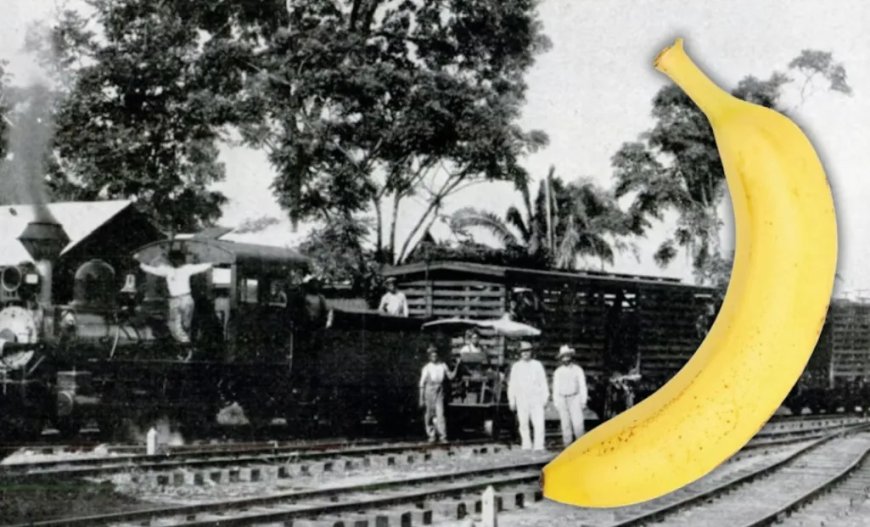 WIST U DAT: Honduras de eerste bananenrepubliek was?