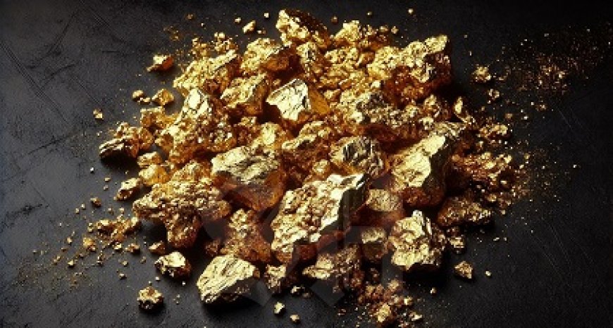 Suriname en buurlanden werken gezamenlijk tegen illegale goudwinning