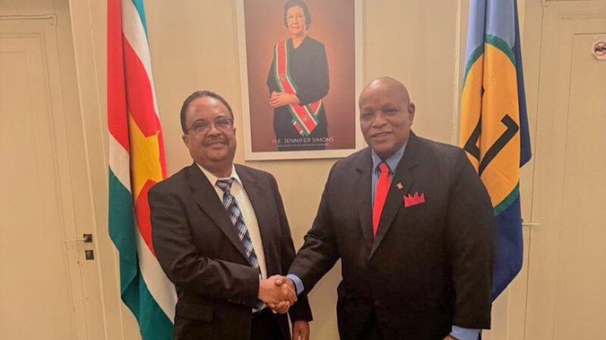 Vp Rusland brengt kennismakingsbezoek aan ambassadeur Panka