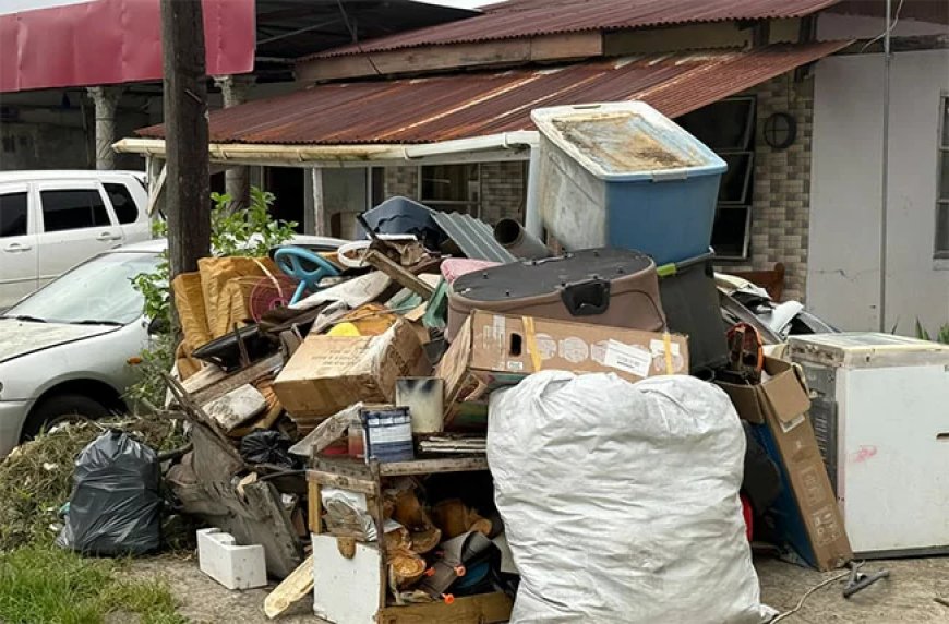 Groot aanbod grofvuil bij gerichte ophaalactie tegen chikungunya
