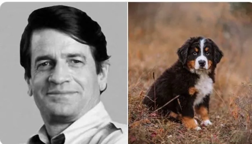 Wraak bij de stembus