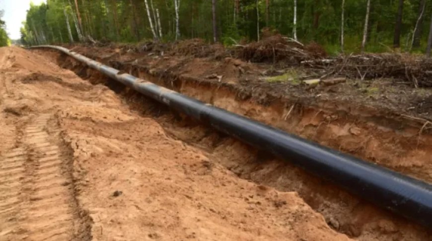 Colombia bekritiseert Ecuador fel vanwege verhoging transportkosten voor Colombiaanse olie