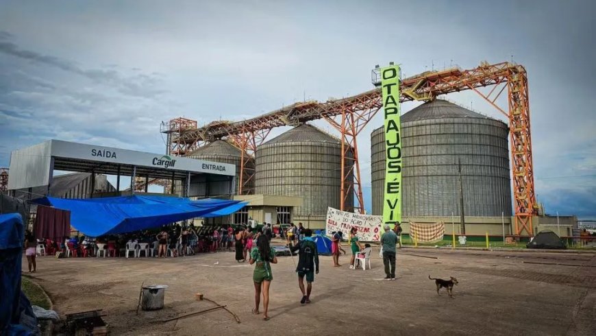 Inheemse demonstranten blokkeren Cargill-faciliteit in Brazilië vanwege decreet van president
