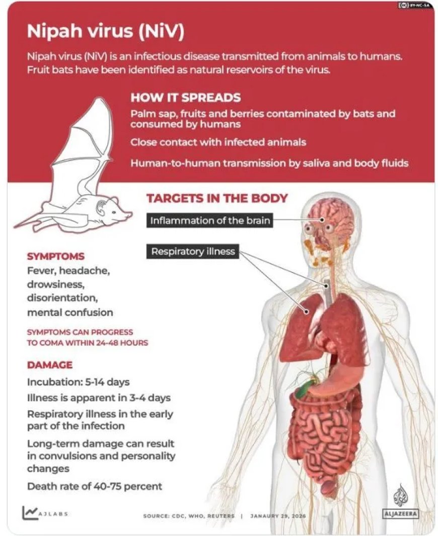 Waarom de Nipah-virus uitbraak in India wereldwijd onrust veroorzaakt