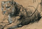 Leeuwtje van Rembrandt op Sotheby’s veiling voor ruim 12 miljoen verkocht