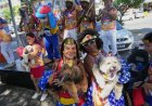 Honden paraderen tijdens carnaval in Rio; protest tegen dierenmishandeling