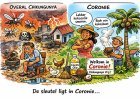 Coronie en het mysterie van de ‘afwezige epidemie’