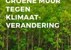 Mangroves: Suriname’s groene muur tegen klimaatverandering