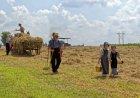 Mennonieten vestigen zich en zetten Suriname voor keuzes over land- en landbouwontwikkeling