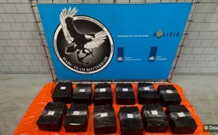 Honderden kilo’s cocaïne aangetroffen tussen mango’s in Rotterdam