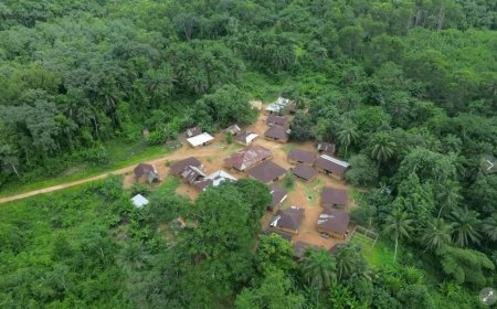 Grootste goudmijnbedrijf van Liberia lekt herhaaldelijk gevaarlijke chemicaliën 