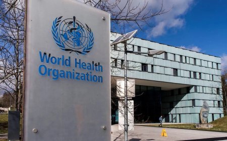 WHO acht risico op verspreiding Nipah-virus buiten India laag