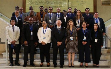 Rapport belicht kansen en grenzen van AI in parlementair werk