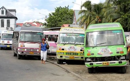 Halte chaos als beleidsmodel