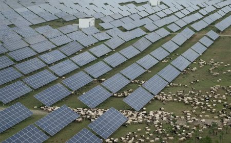 China blijft kolencentrales bouwen ondanks  bloeiende zonne- en windenergiesector